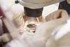 Ivf