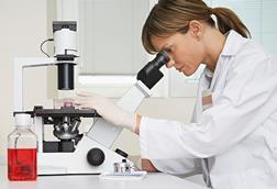 lab, research, medical research,